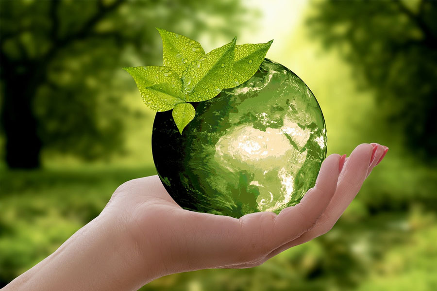 Sostenibilità e benessere ambientale: piccoli passi per un futuro migliore